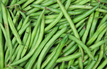 Closeup of isolated fresh green raw green bush beans (phaseolus vulgaris)
