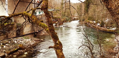 waterfall in the forest