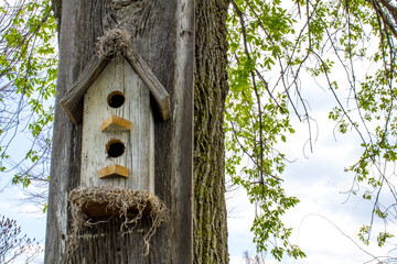 Simple rustic birdhouse on a tree in backyard.