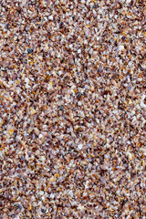 base seashore many shells dark brown pearl vertical background