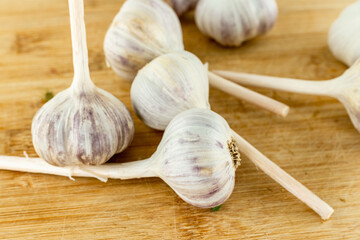 whole head garlic bunch of vegetables smelling strongly, traditional seasoning