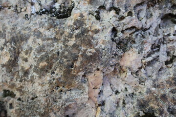 Stone texture or background, nature , shot from mountains rocks
