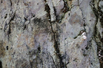 Stone texture or background, nature , shot from mountains rocks