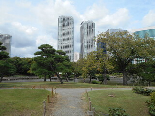 秋の日本庭園（東京）

