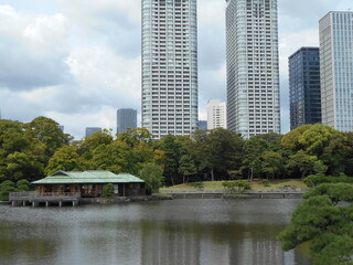 秋の日本庭園（東京）