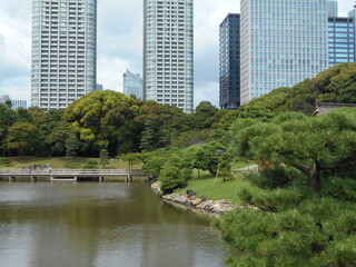 秋の日本庭園（東京）