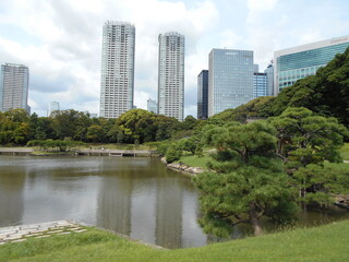 秋の日本庭園（東京）