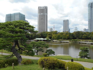 秋の日本庭園（東京）
