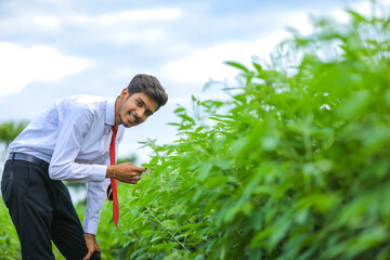 young indian agronomist standing at field and pointing direction