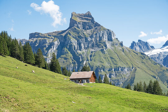 Bergspitze "Hahnen", ob  Engelberg, Kanton Obwalden, Schweiz