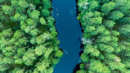 Areal photo of river in the forest, Lithuania, Druskininkai