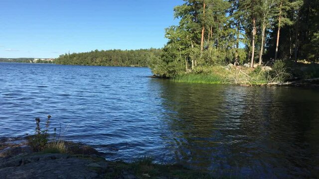 Clear and fresh water at a random place of the Swedish lake Malar or Malaren. Plenty of trees at the other side of the water.  G&ouml;rv&auml;ln, J&auml;rf&auml;lla, Stockholm, Sweden.