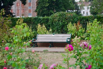 bench in the park