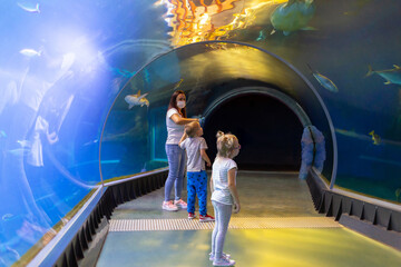 A family on vacation watch the underwater life from the aquarium tunnel