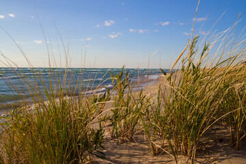 Dune grass on a sunny sandy beach on the coast of Lake Michigan.
