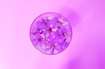 Top view Photograph in purple tones of some flower petals inside a glass