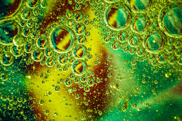 oil drops floating in water