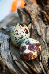 Obraz premium Quail Eggs on Wood