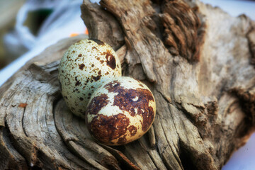 Quail Eggs on Wood