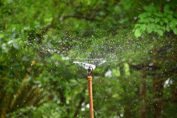 Sprinkler spraying water