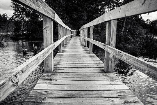 Wooden bridge leads into dark mysterious forest. 