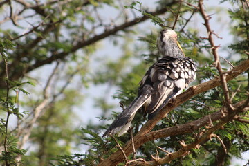 Photo taken in Kruger National Park