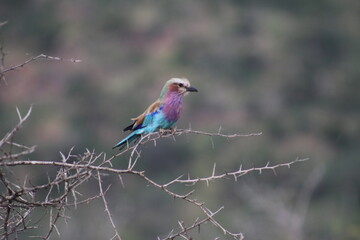 Photo taken in Kruger National Park