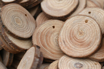 Wood circles pieces disk tree bark