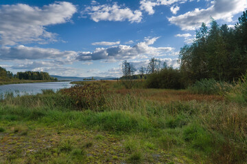 Fototapeta premium Summer landscape, forest trees are reflected in calm river water against a background of blue sky and white clouds.