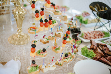 Tasty snacks kanapes on the buffet table