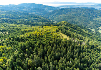 Aerial view of mixed pine woods and deciduous woods in the Carpathian mountains at early autumn.