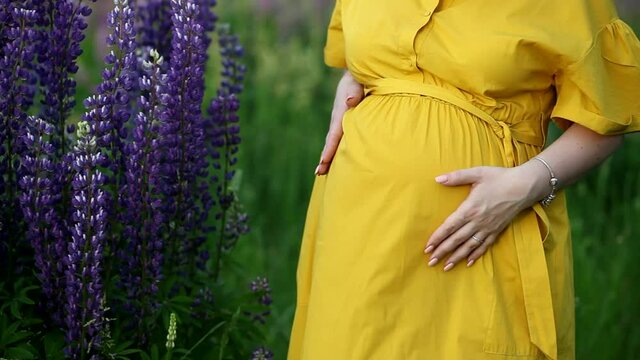 A young happy pregnant woman gently touches and hugs her belly. Pregnant girl in a yellow long dress in a field with blooming lupins. Motherhood prenatal care and woman pregnancy concept.