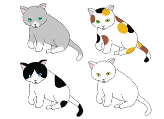 Obraz na płótnie Canvas 4色の子猫 