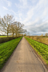 Country lane and trees, English countryside, UK