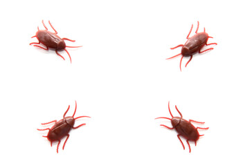 白い背景にゴキブリのおもちゃ
