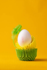 egg in a stand on a yellow background