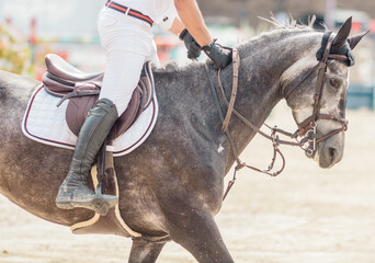concours d'équitation, gros plans sur le cheval et son cavalier