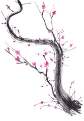 Watercolor sakura blossom - Japanese cherry tree isolated on white background. Plum Blossom. Pink sakura flowers, jpg illustration