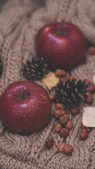 Autumn still life with apples and nuts. Autumn background with apples on a warm knitted scarf, a wooden plate, autumn leaves, hazelnuts and cones.