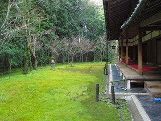 京都府･大徳寺高桐院