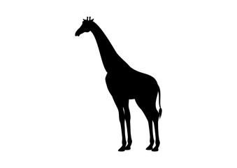 One giraffe black silhouette icon vector. Giraffe icon isolated on a white background. Giraffe icon vector. Animal of the African continent