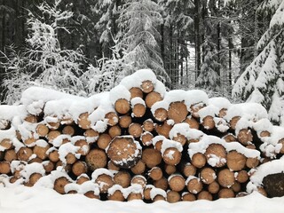 stack of firewood