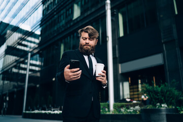 Fototapeta premium Confident bearded businessman browsing smartphone