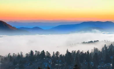 Afwasbaar Fotobehang Mistig bos Beautiful landscape with cascade blue mountains at the morning - View of wilderness mountains during foggy weather