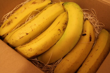 bananas