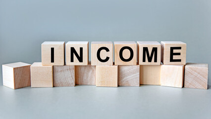 The inscription income on wooden cubes isolated on a light background, the concept of business and finance.