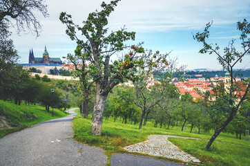 An unusual view of Prague Castle