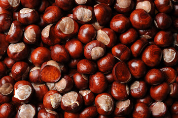 
background of many chestnuts photographed with studio light.