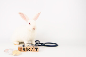 Cute white rebbit with fluffy sitting with stethoscope, coins and wooden treat text on white background. Beautiful easter bunny rabbit use for easter holiday and health concept.