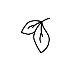 nature icon design. perfect for logo, presentation, book, application, background and more product. icon design line style